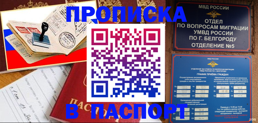 купить прописку в Котово